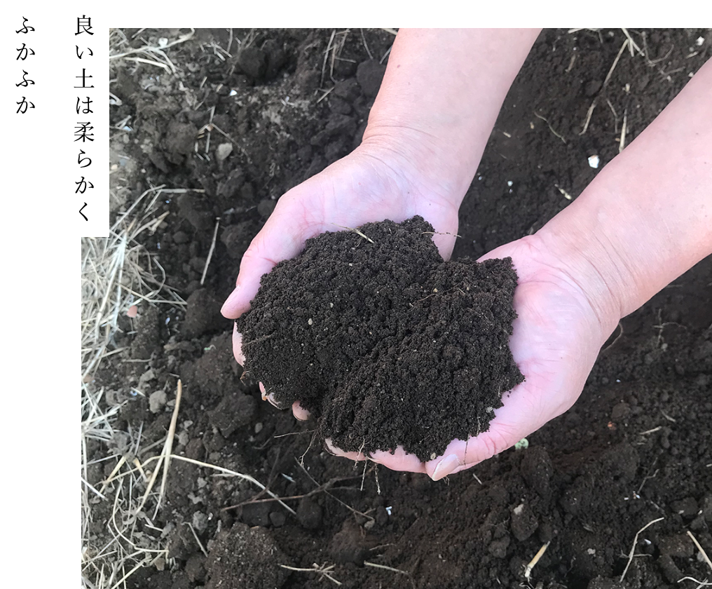 Good soil is soft and fluffy