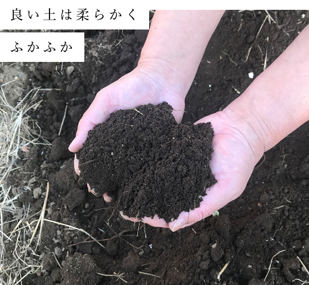 Good soil is soft and fluffy
